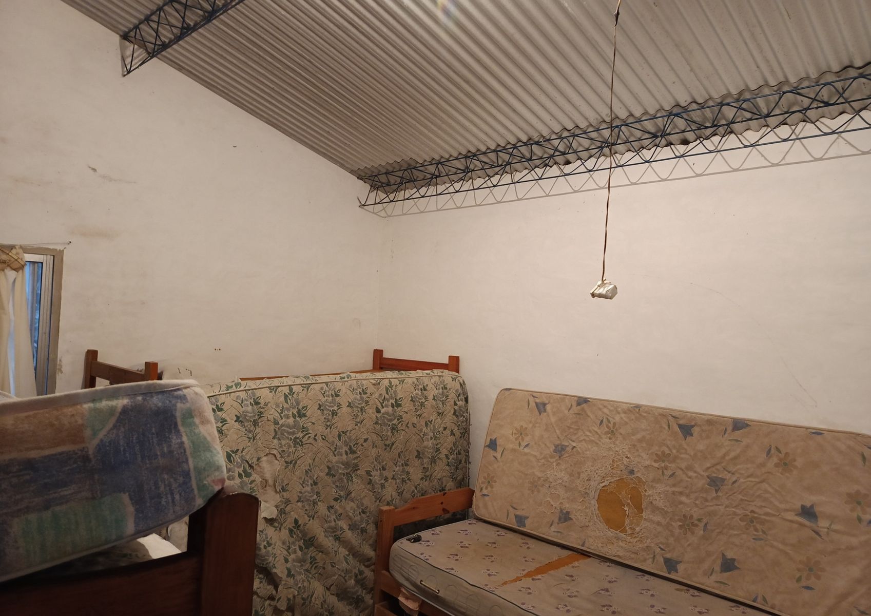 Mamboretá · Punta Indio — foto 7