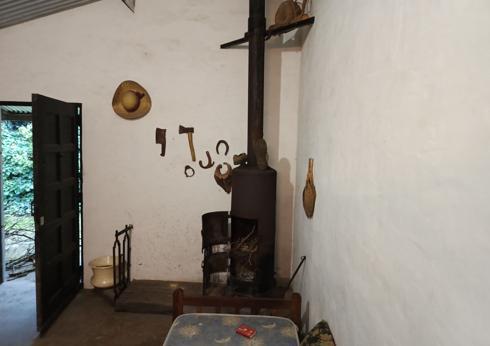 Mamboretá · Punta Indio — foto 9