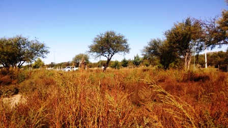 Camino del Portezuelo 13000 · La Capital — foto 4
