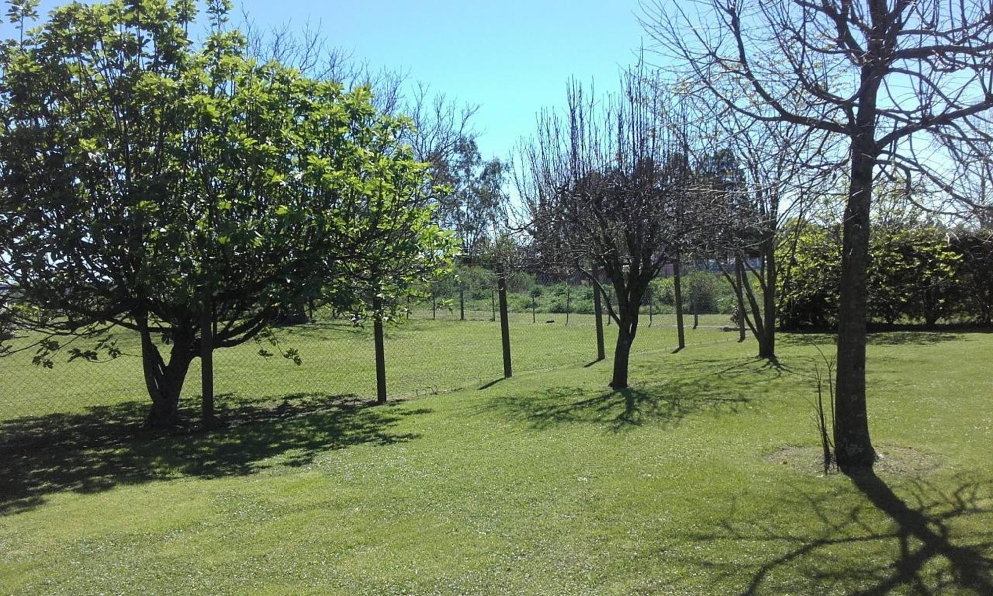 Ruta 3 Km 49,5 · Marcos Paz — foto 13
