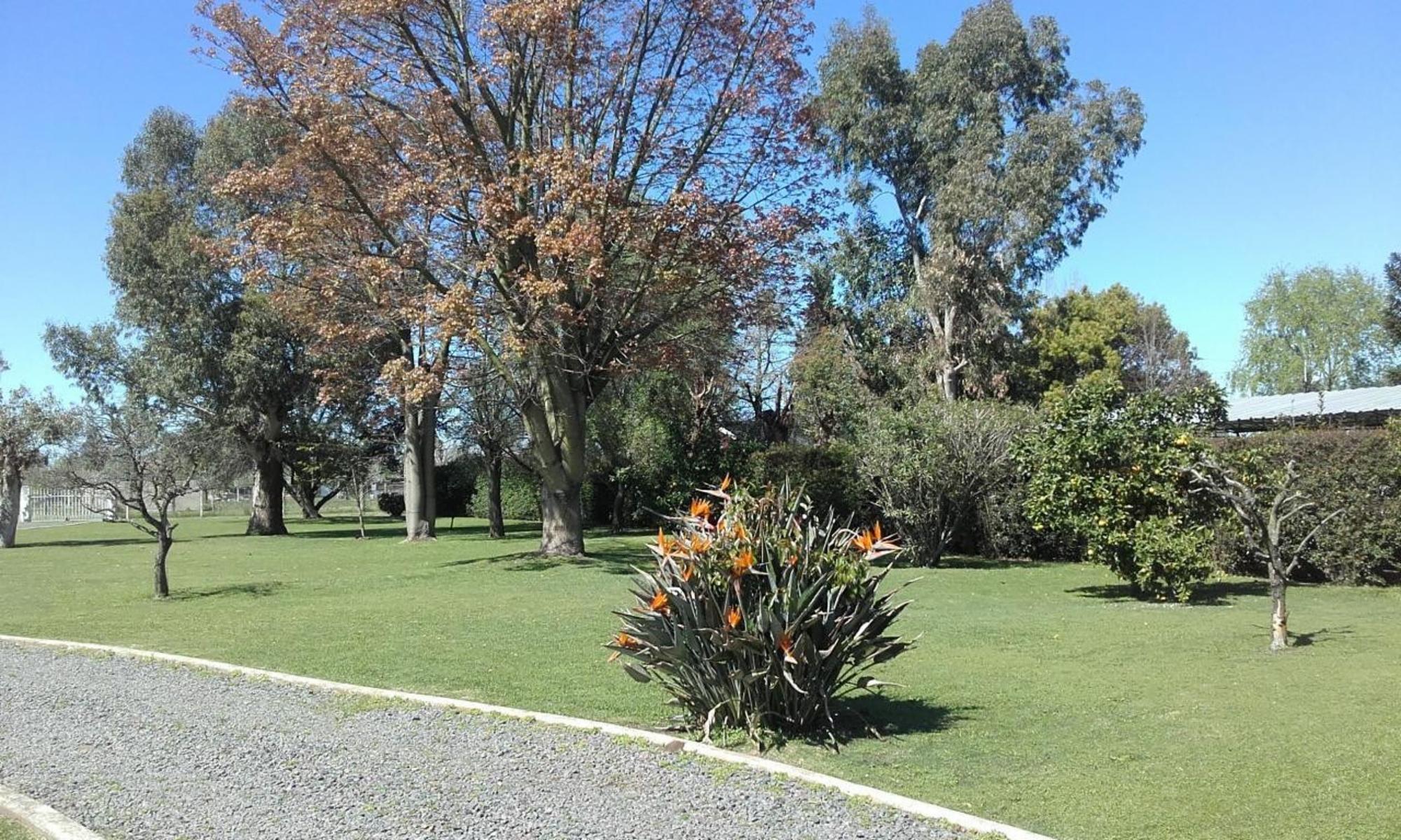 Ruta 3 Km 49,5 · Marcos Paz — foto 15