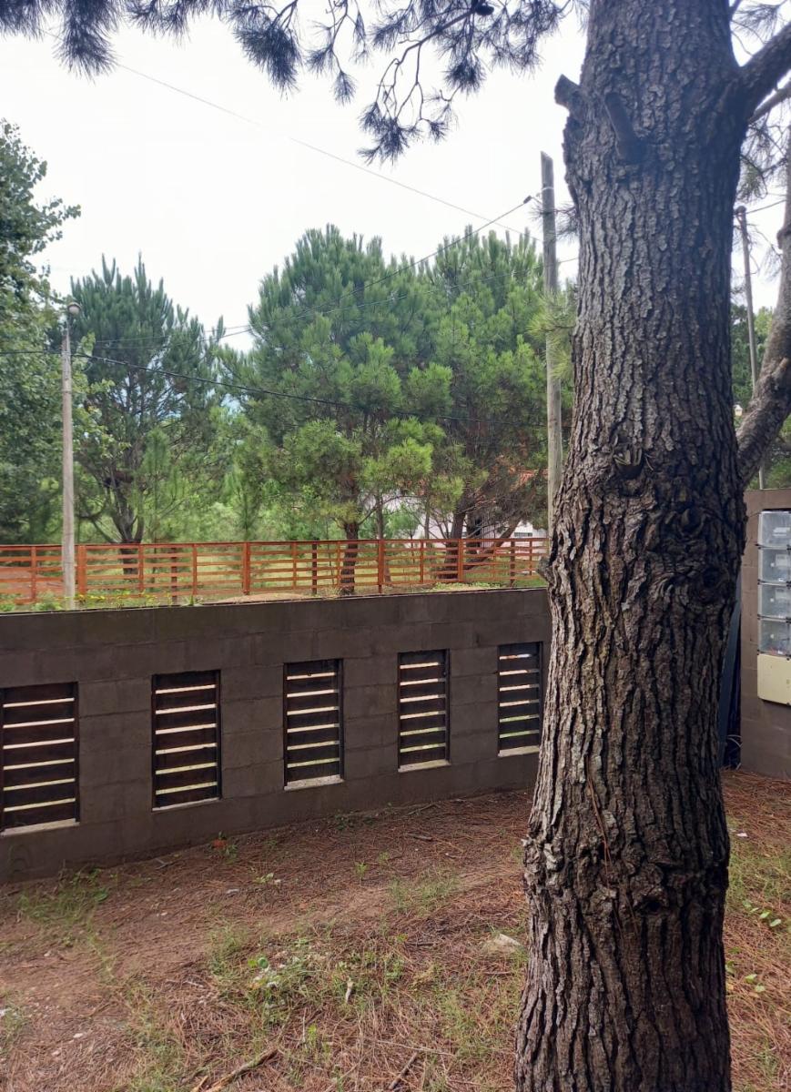 ALBATROS Y DESTRUCTOR BROWN · La Costa — foto 18