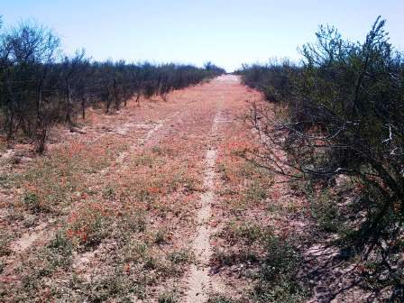 Ruta 7 Km 7 · La Paz — foto 6