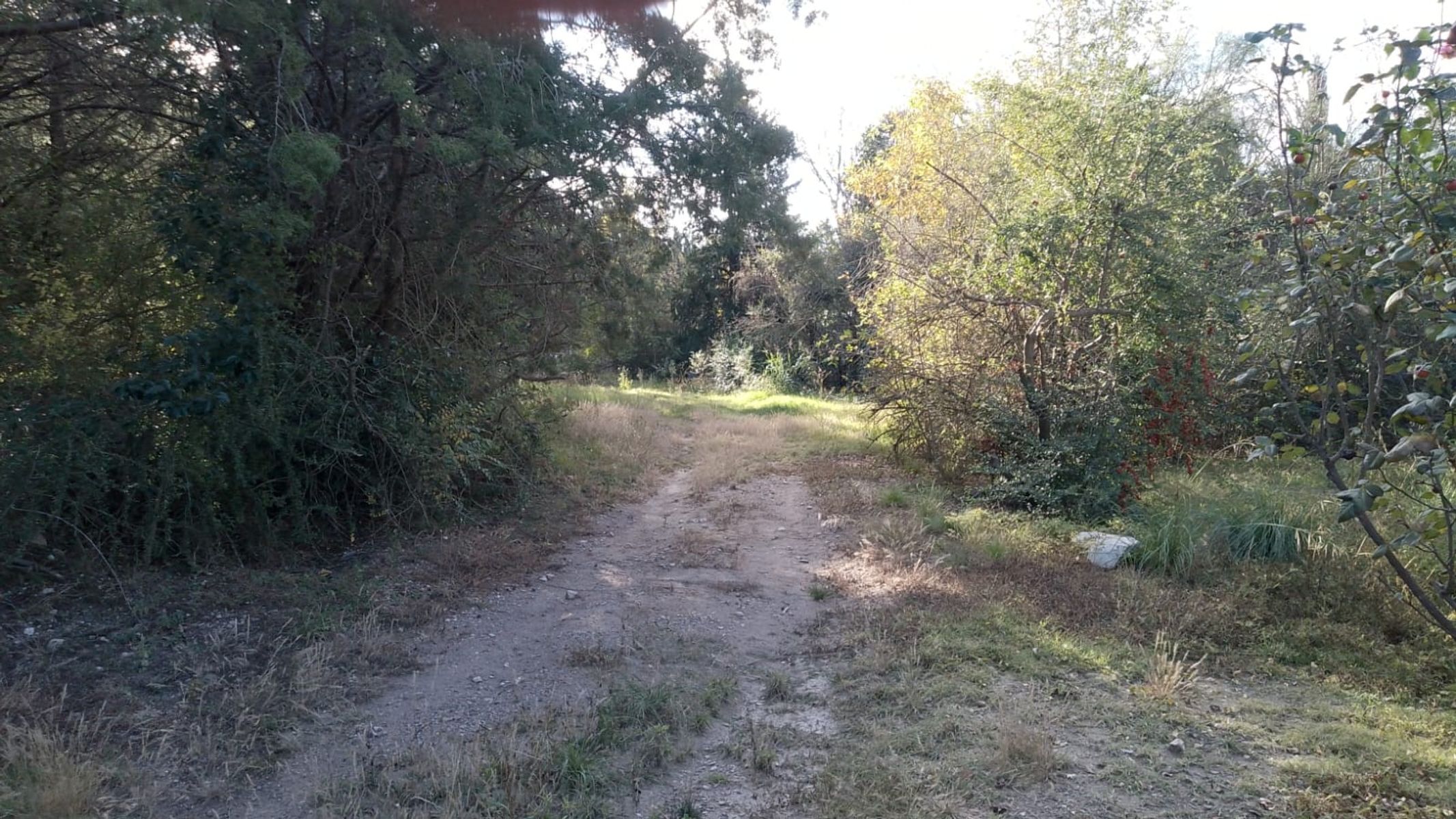 Ruta 20 Km21 · La Capital — foto 16
