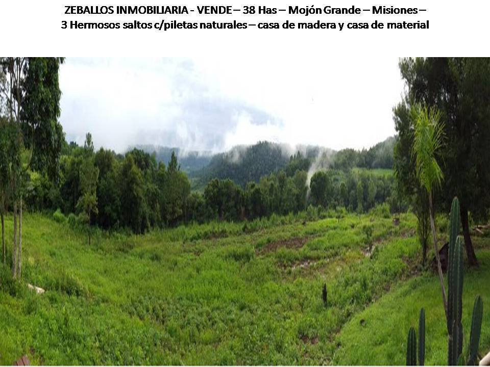 ZEBALLOS INMOBILIARIA VENDE!!!
38 Has Mojón Grande - Misiones.-