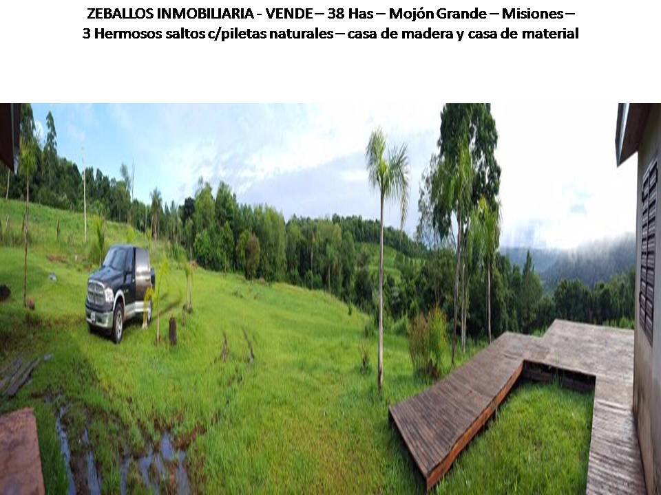 Monjon Grande · Leandro N. Alem — foto 3