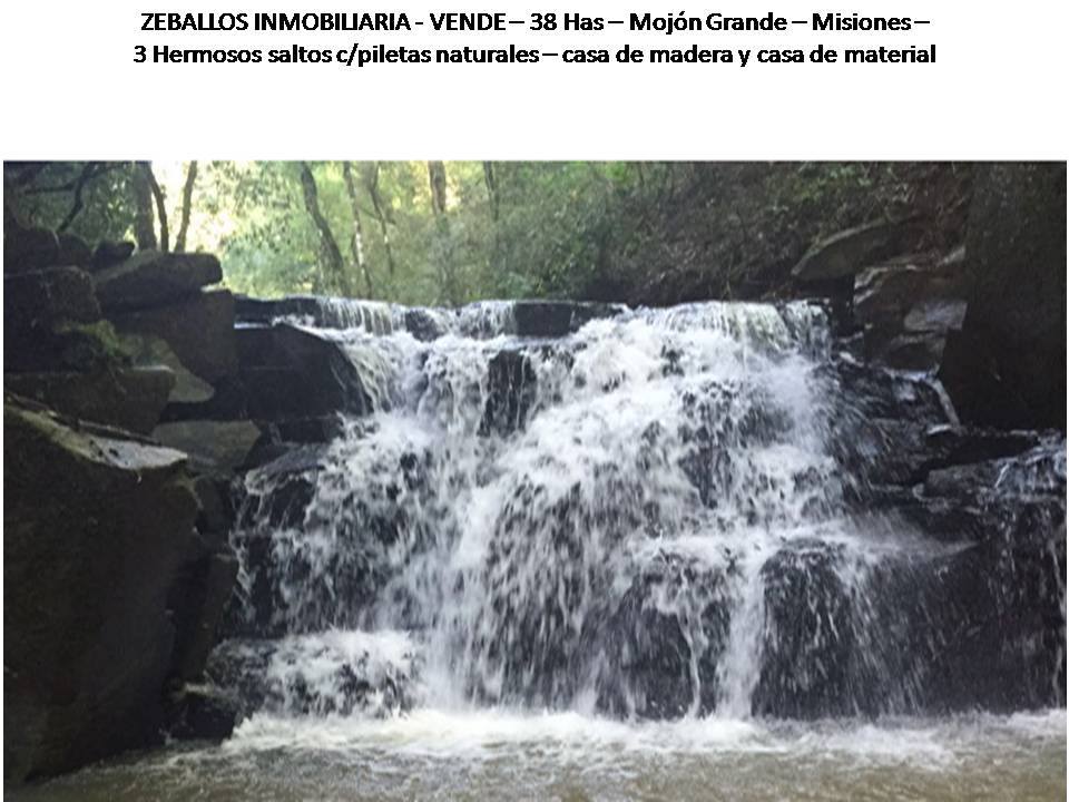 Monjon Grande · Leandro N. Alem — foto 4