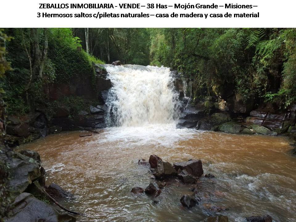 Monjon Grande · Leandro N. Alem — foto 5