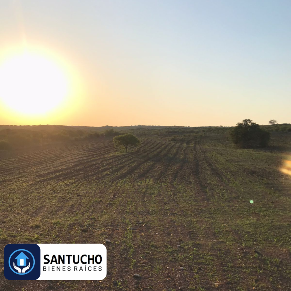 El perchel · Tulumba — foto 13
