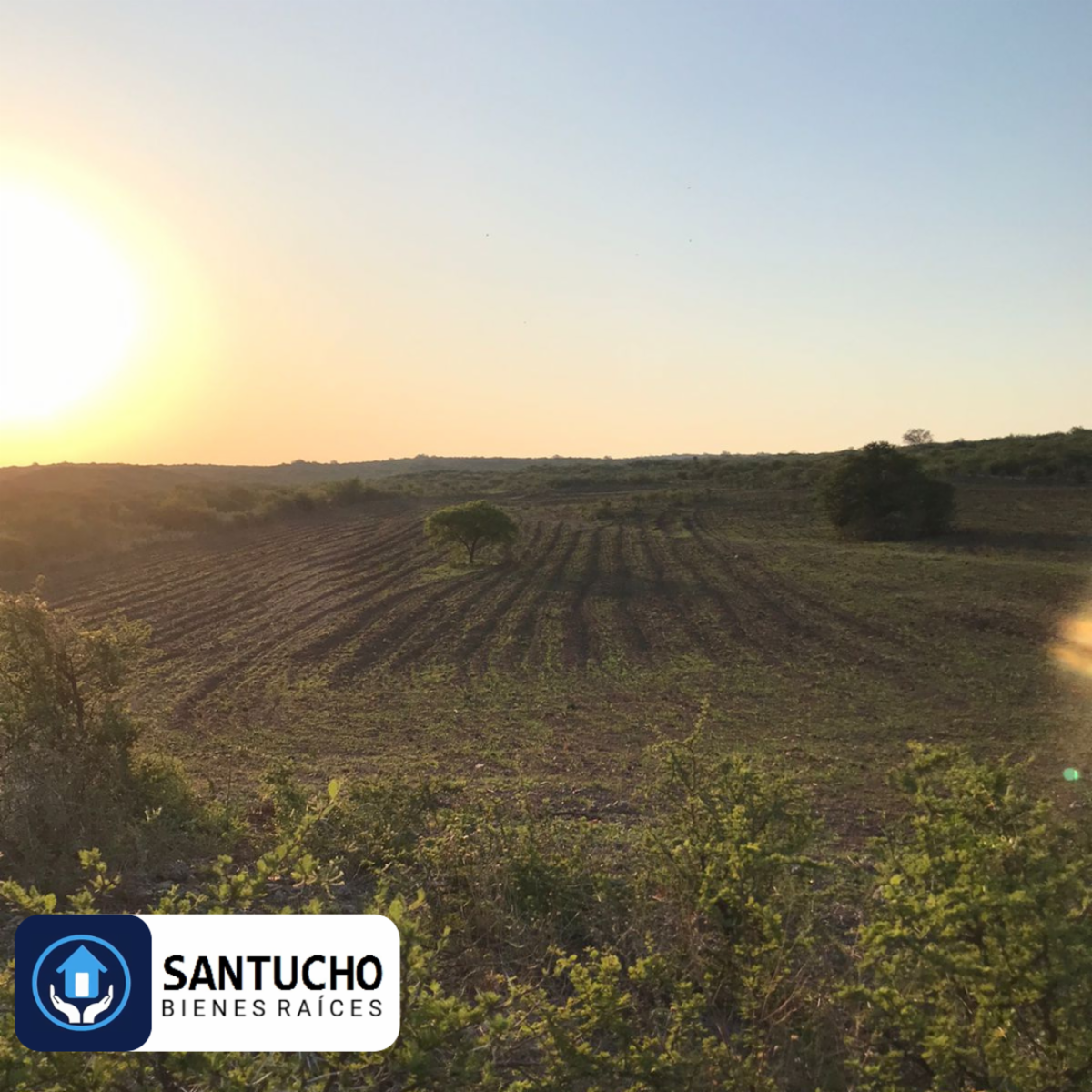 El perchel · Tulumba — foto 14