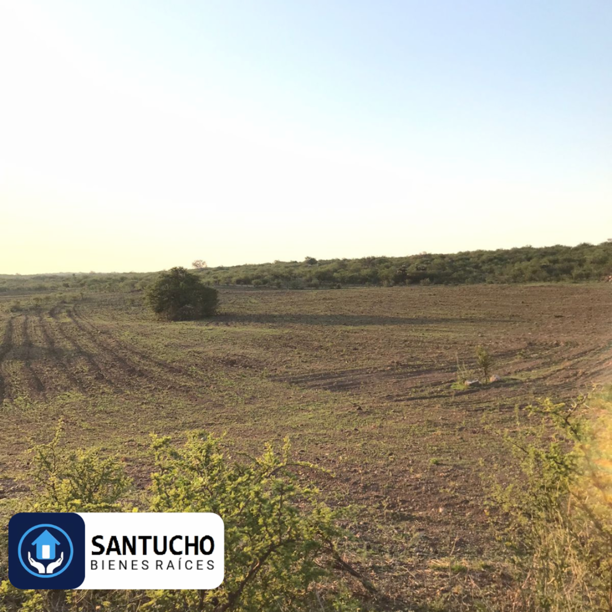 El perchel · Tulumba — foto 15