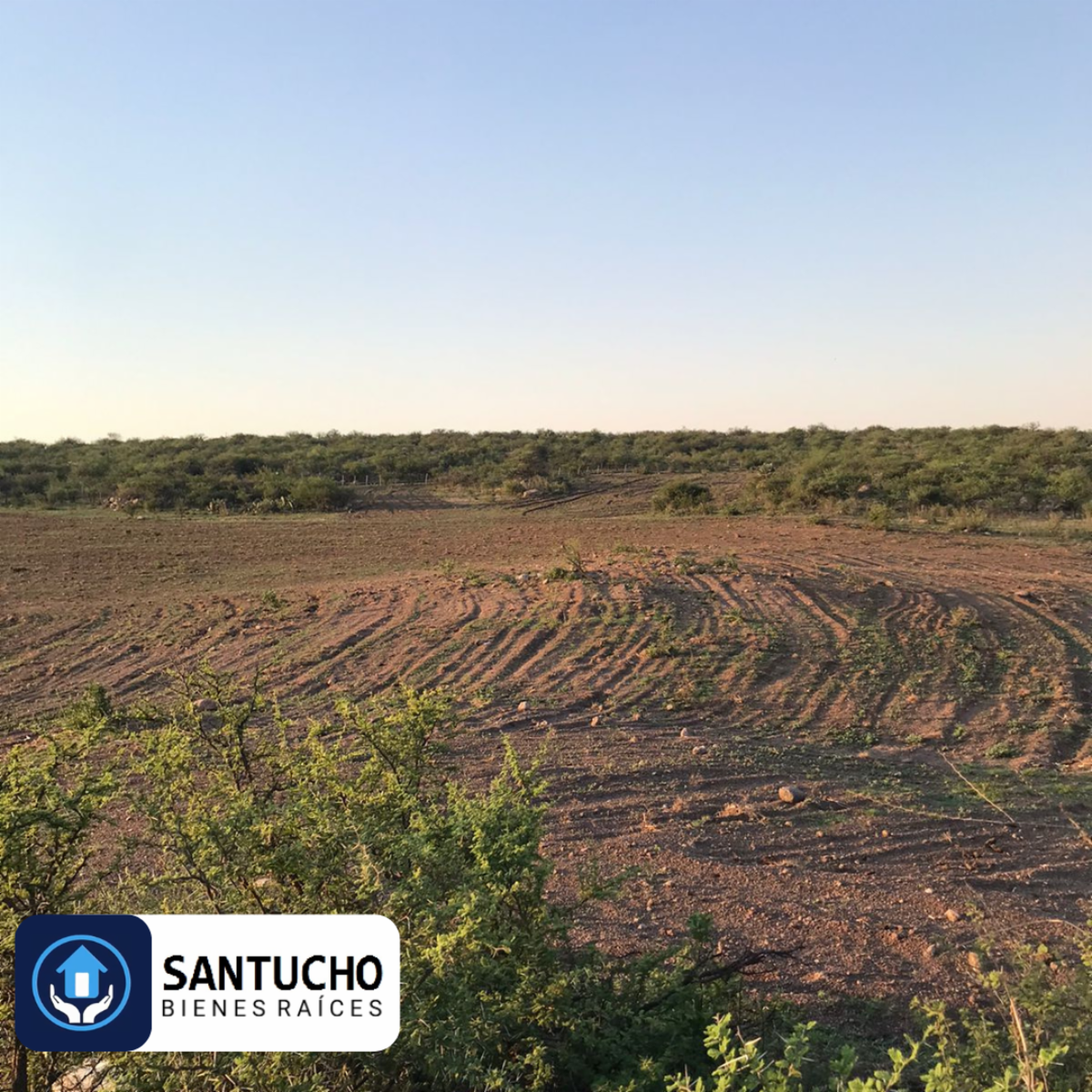 El perchel · Tulumba — foto 16