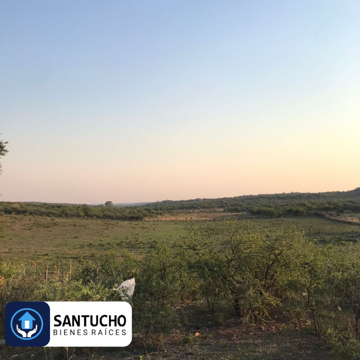 El perchel · Tulumba — foto 17