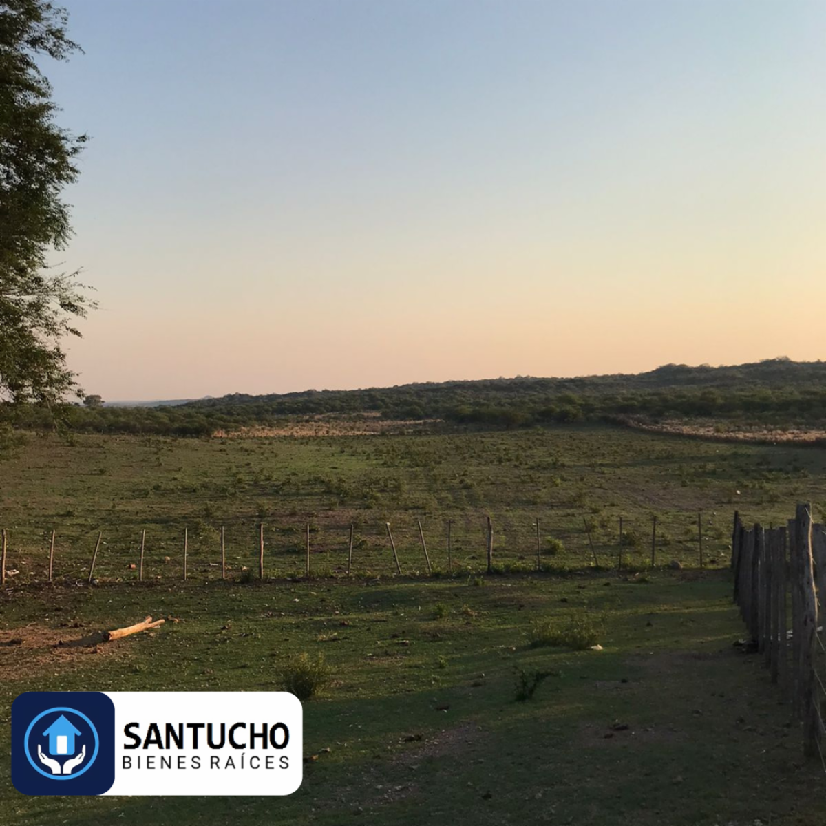 El perchel · Tulumba — foto 18