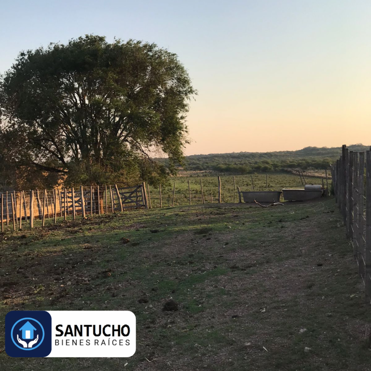 El perchel · Tulumba — foto 19
