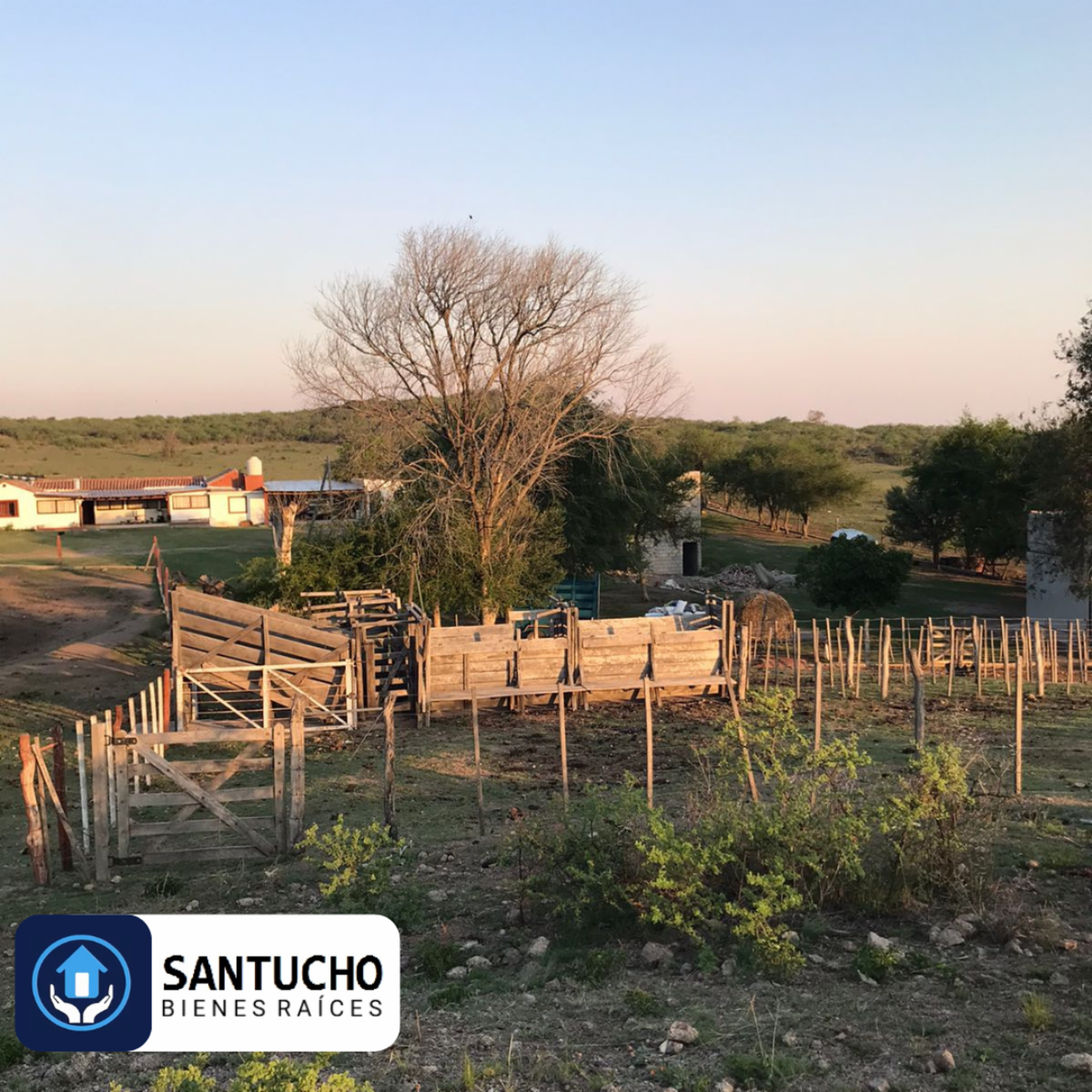 El perchel · Tulumba — foto 22