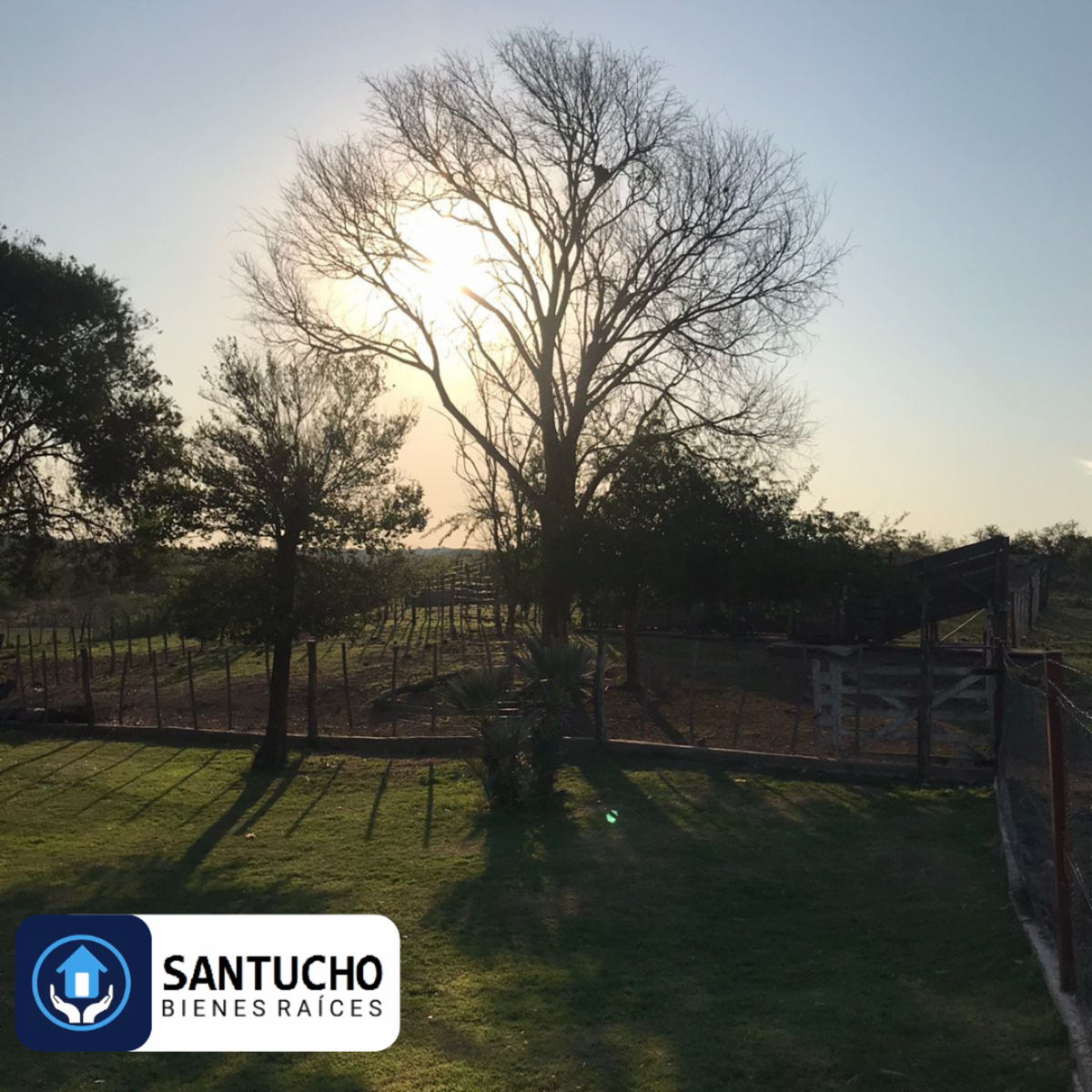 El perchel · Tulumba — foto 24