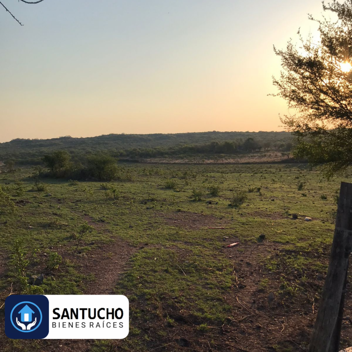 El perchel · Tulumba — foto 27