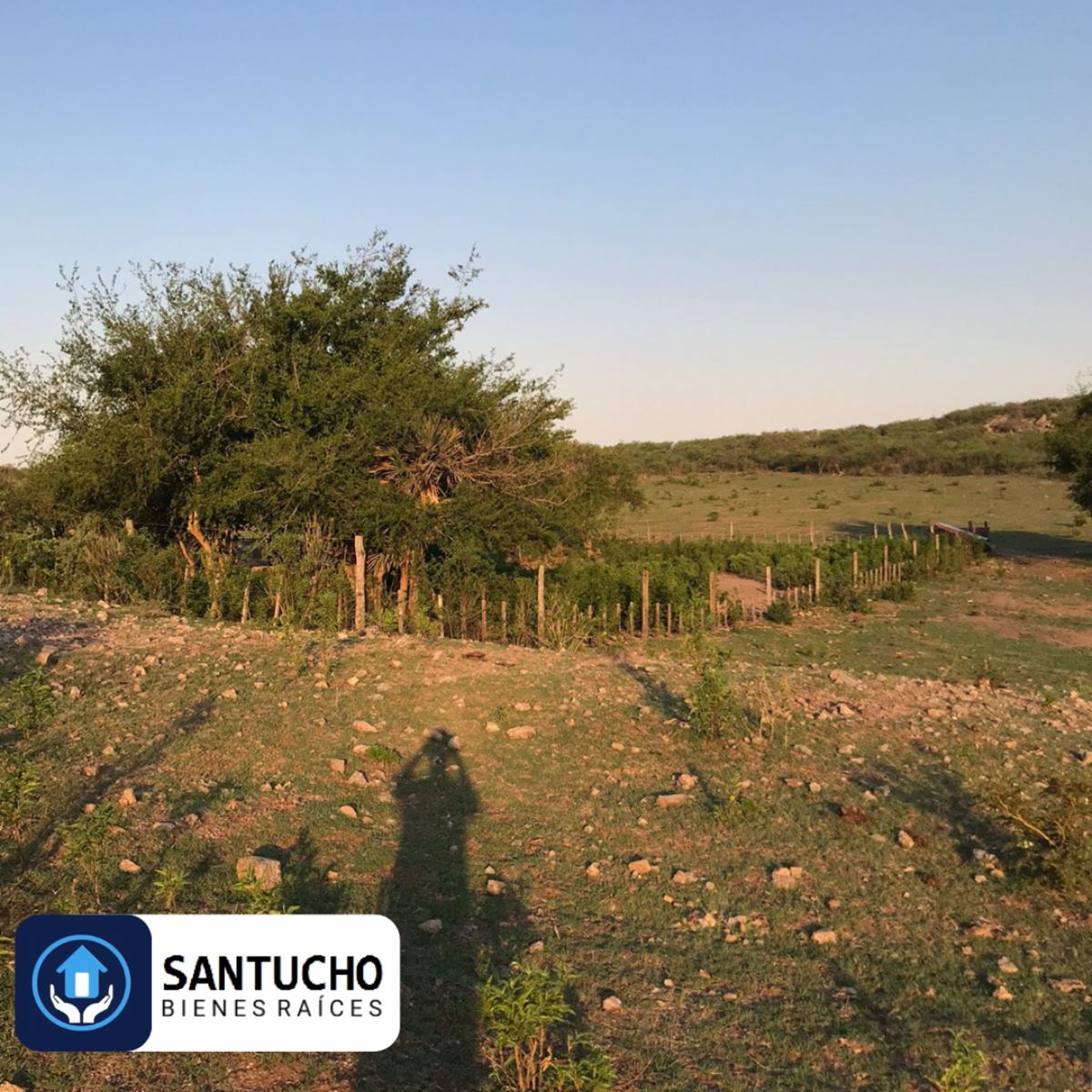 El perchel · Tulumba — foto 28