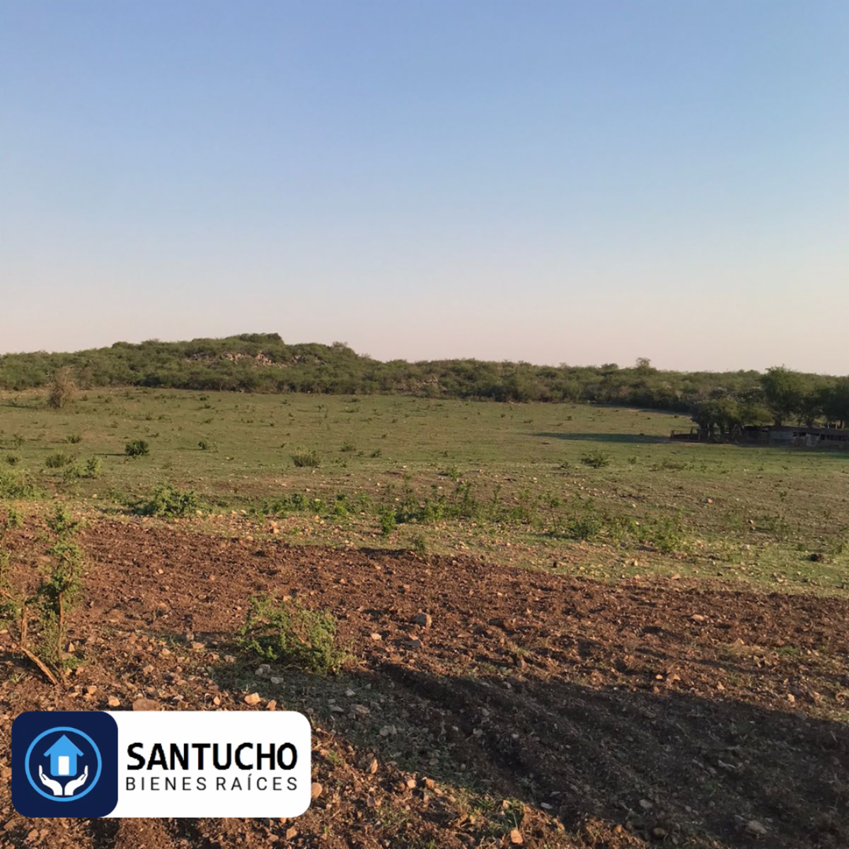 El perchel · Tulumba — foto 35