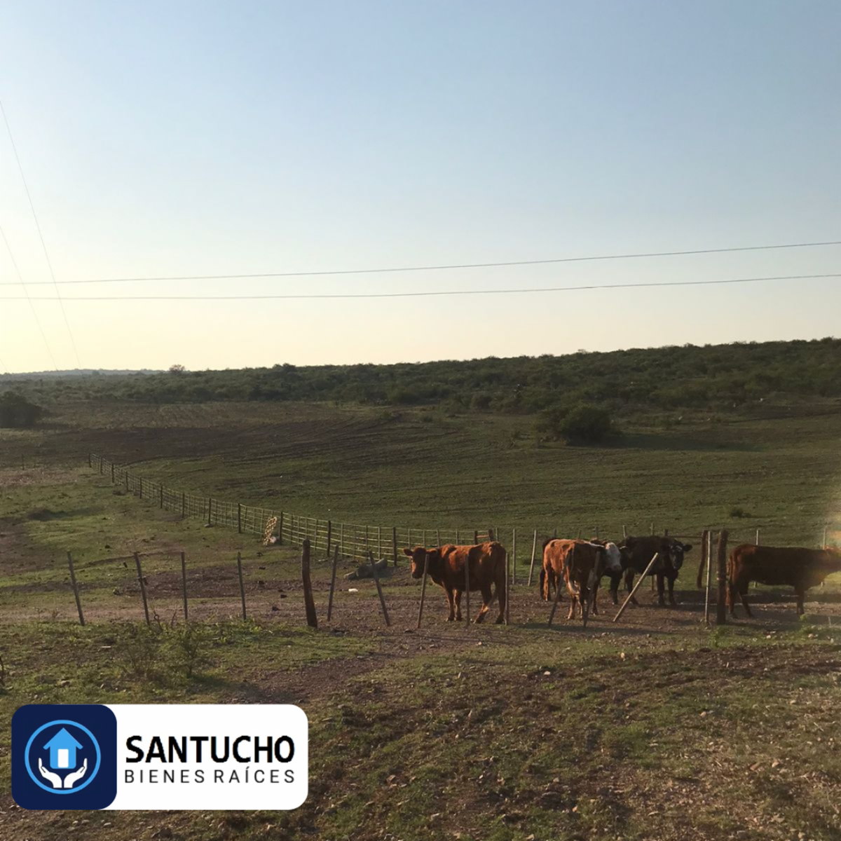 El perchel · Tulumba — foto 37