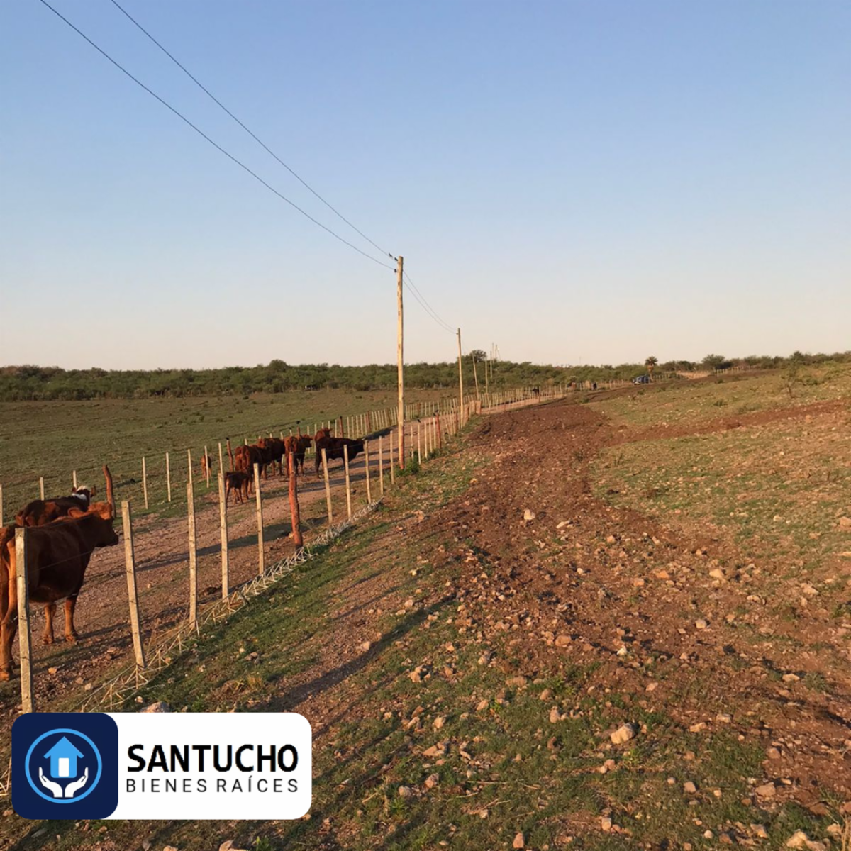 El perchel · Tulumba — foto 39