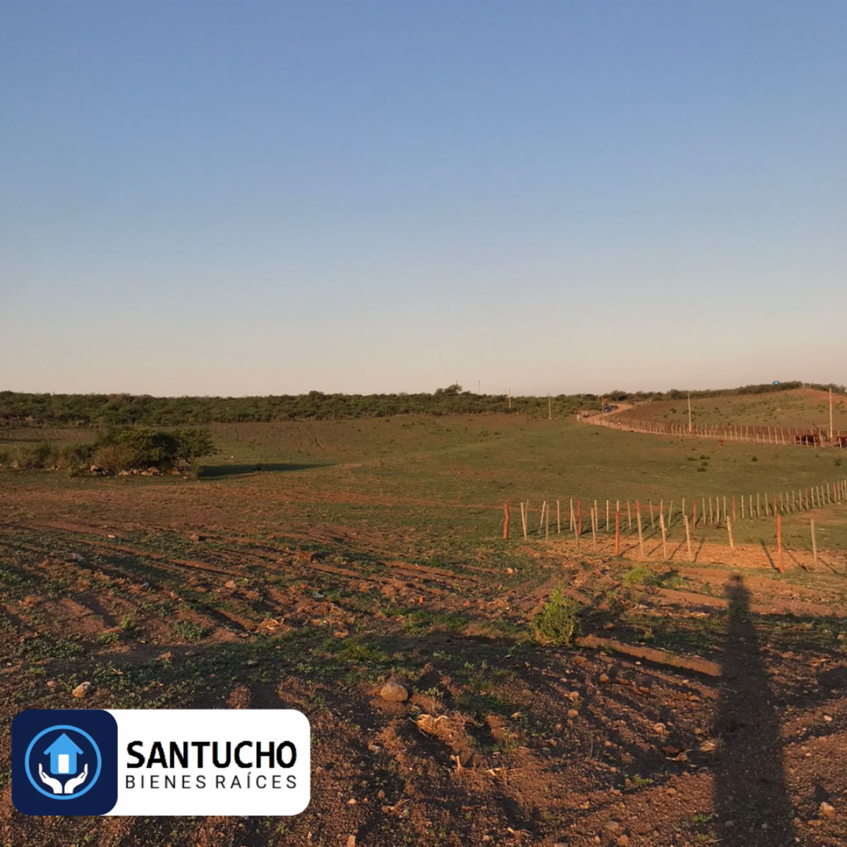 El perchel · Tulumba — foto 8