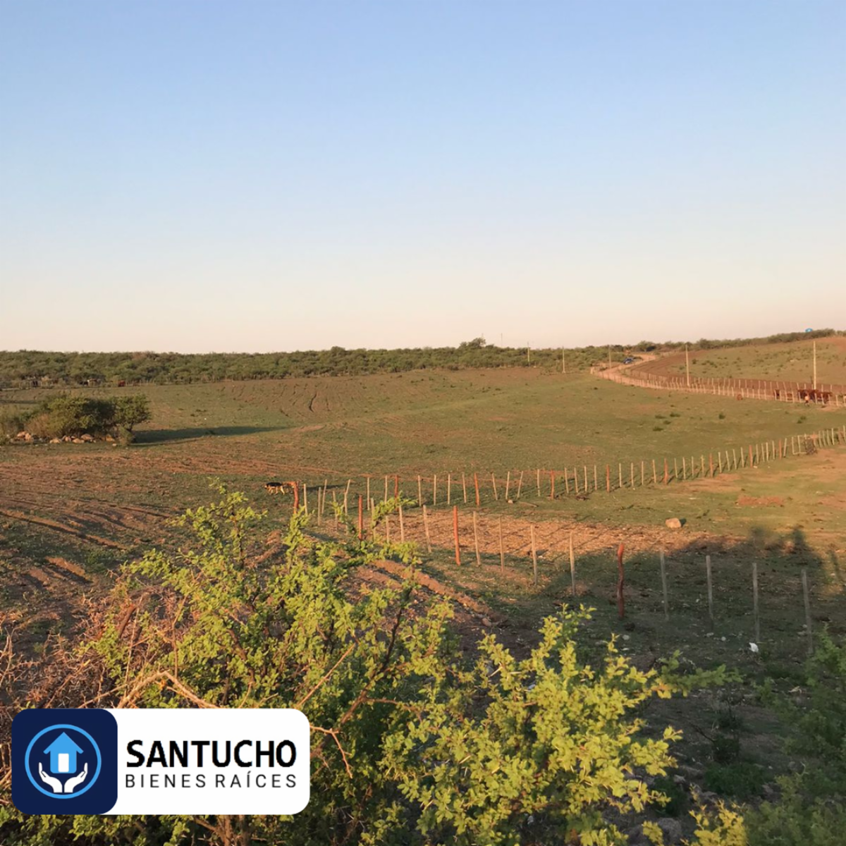 El perchel · Tulumba — foto 9