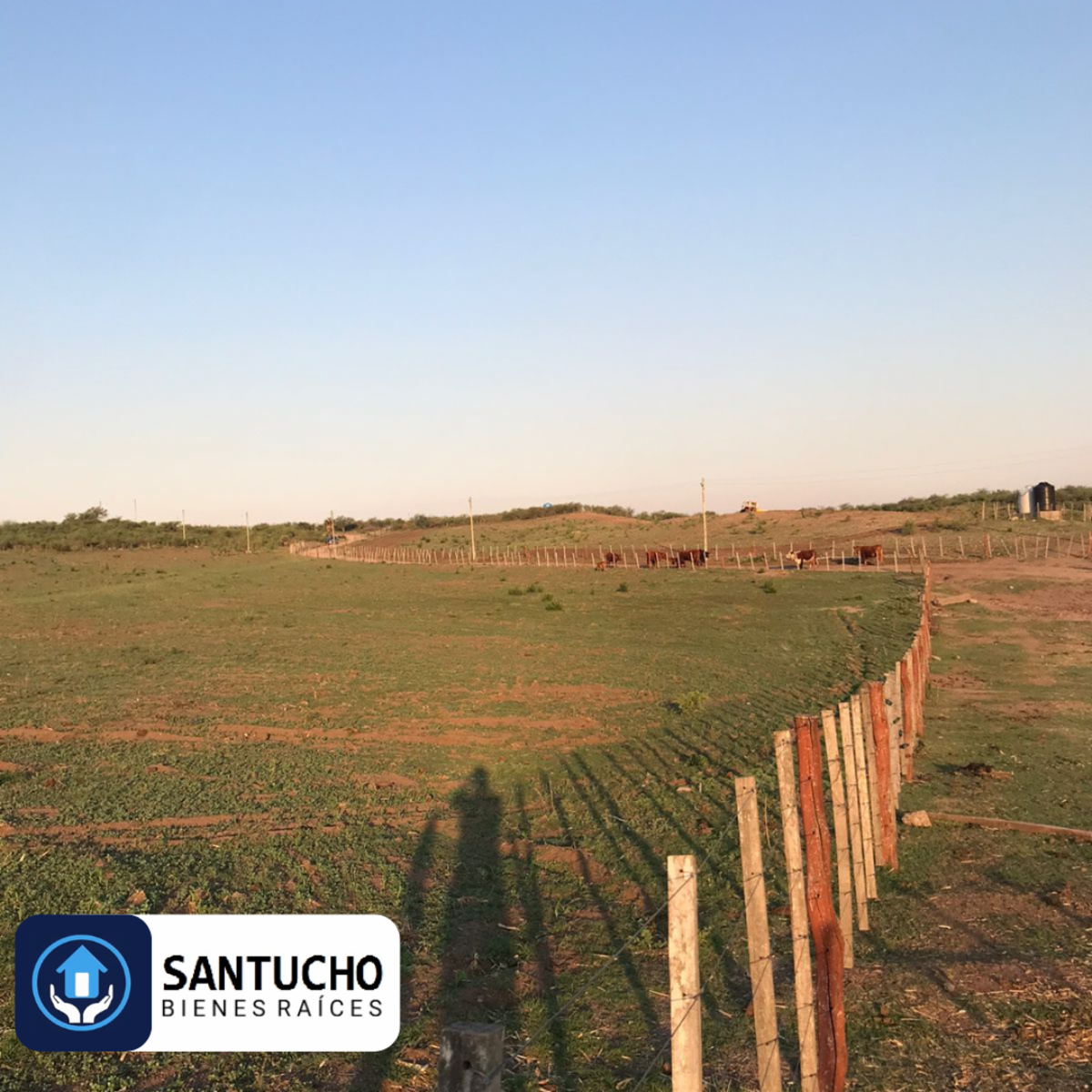 El perchel · Tulumba — foto 10