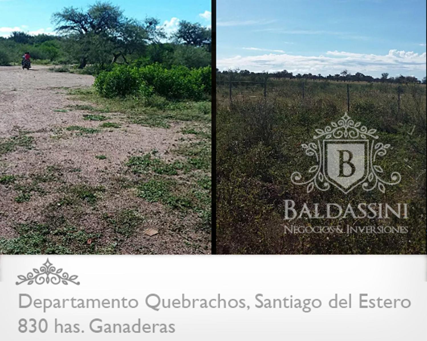 830 HAS. EN DEPARTAMENTO QUEBRACHOS - SANTIAGO DEL ESTERO - CAMPO UBICADO EN GRAN ZONA. DESOCUPADO