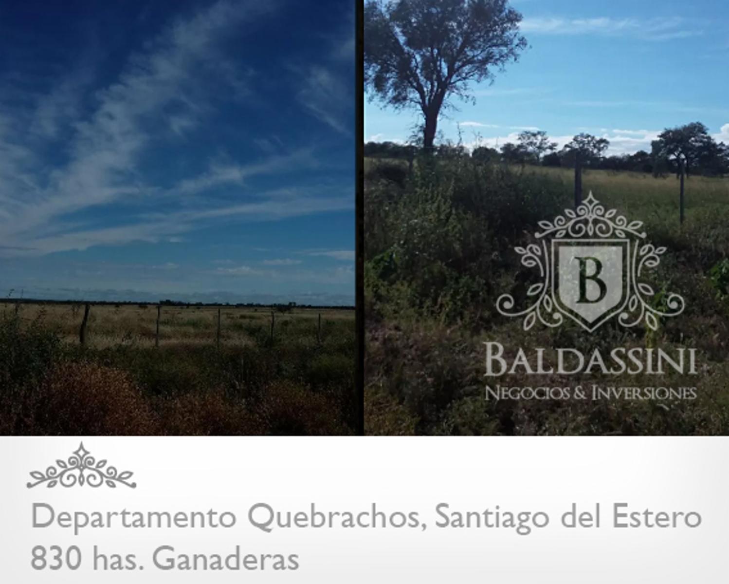 RUTA 92 · Quebrachos — foto 3