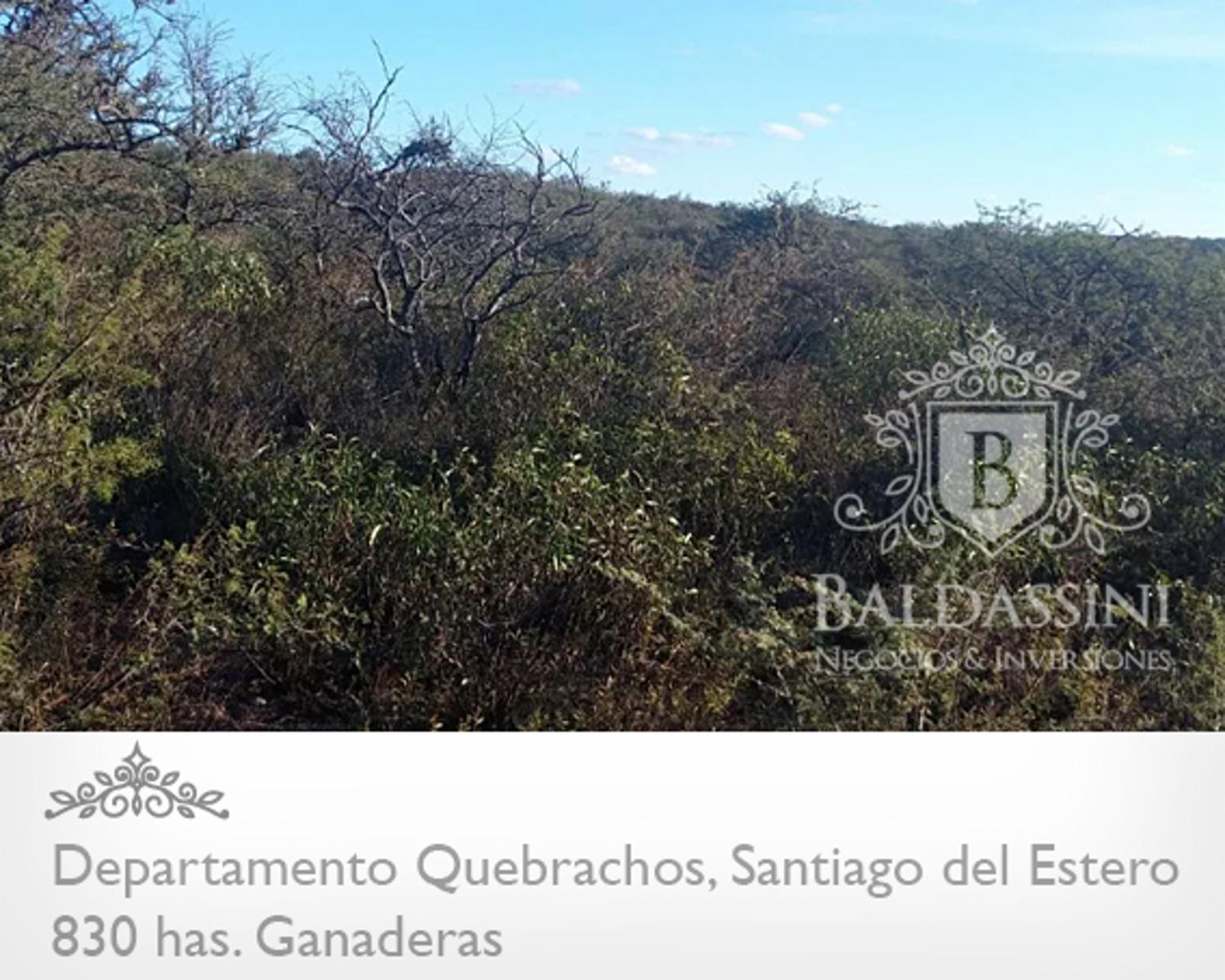 RUTA 92 · Quebrachos — foto 4