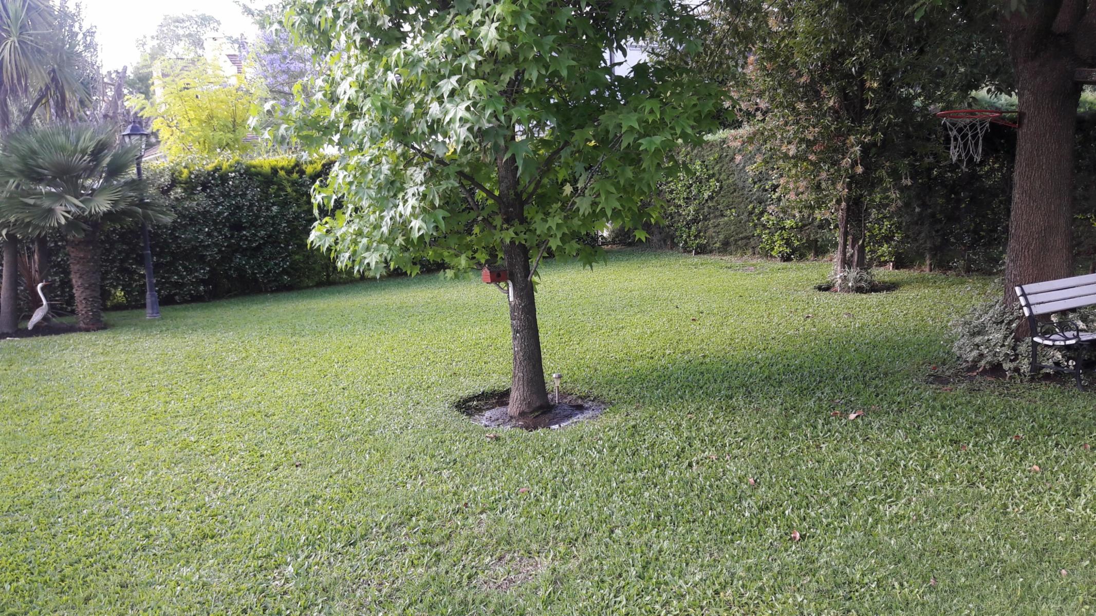 MAIPU · Moreno — foto 5