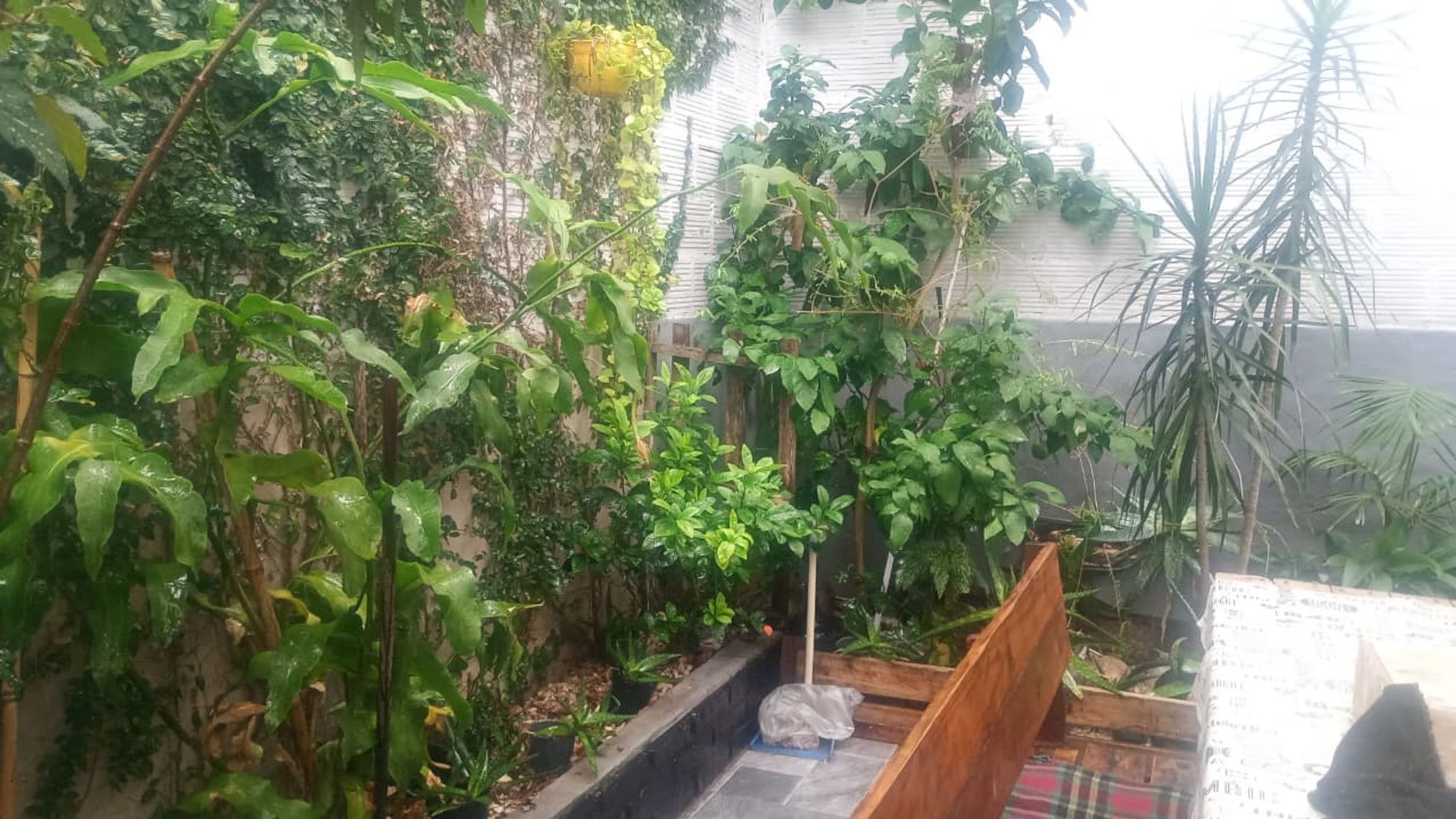 Culpina 181 · La Matanza — foto 4