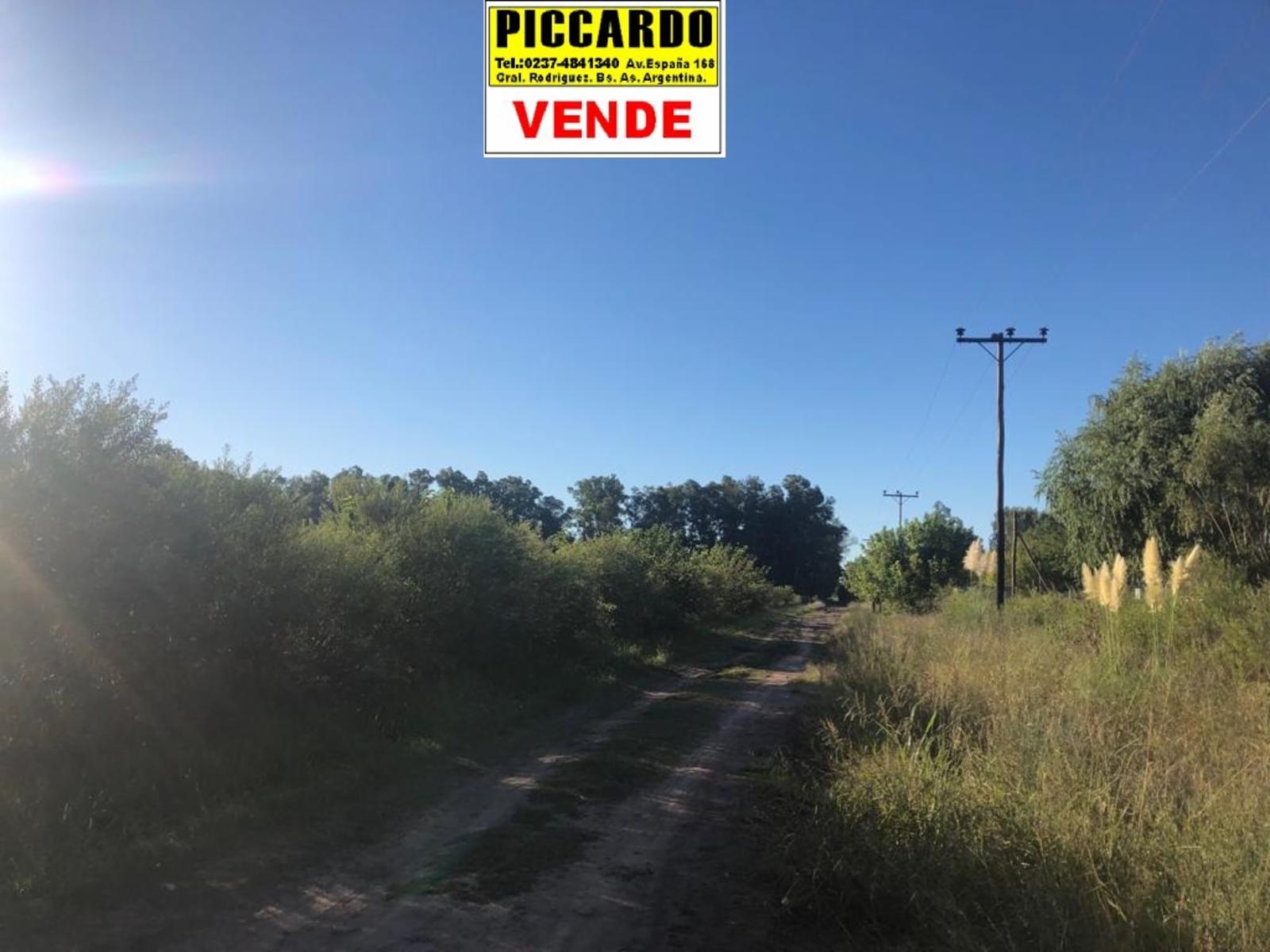 Arroyo baltico · General Rodriguez — foto 11