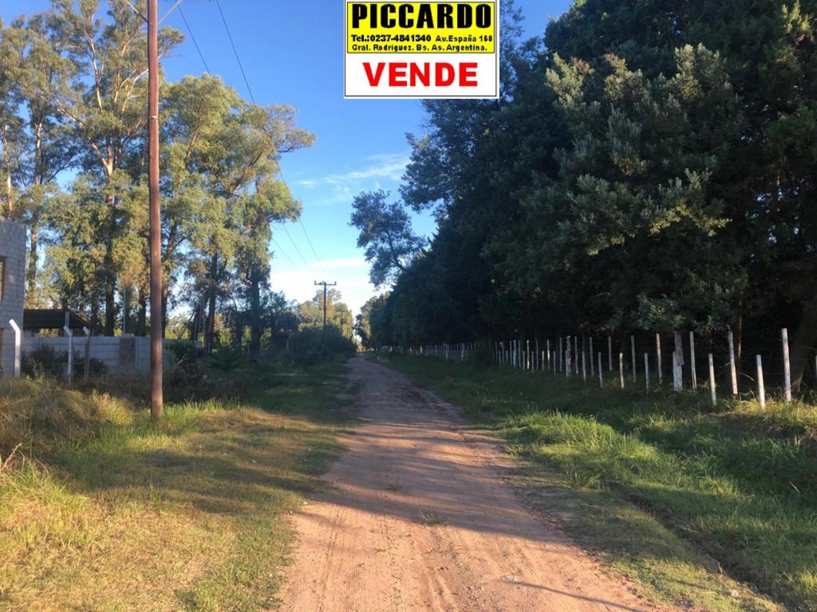 Arroyo baltico · General Rodriguez — foto 13