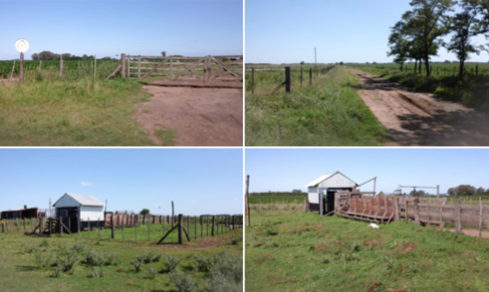 Campo Agricola Ganadero