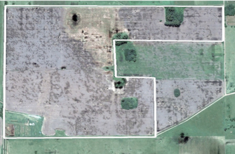 87 Ha Rawson · Chacabuco — foto 4