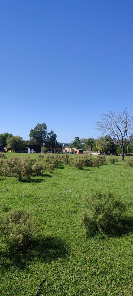 CALLE PUBLICA · Colón — foto 6