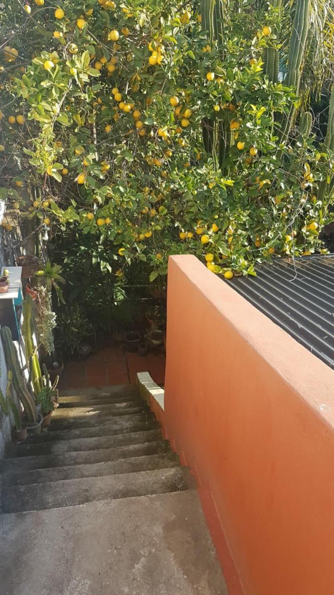 Zarate · Ituzaingó — foto 5