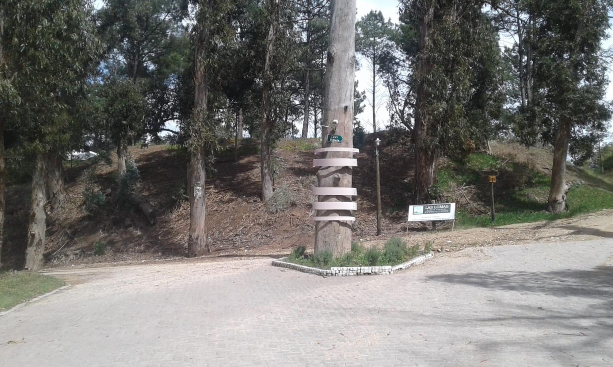 EL CEDRON · Monte Hermoso — foto 3