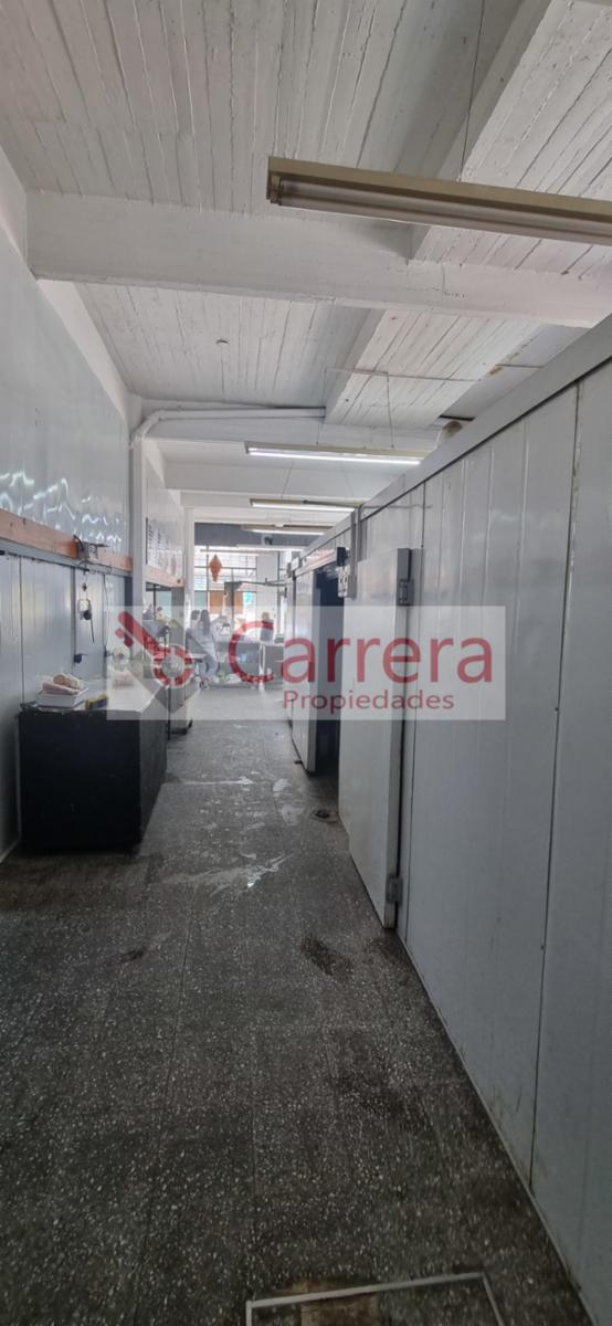 4 de febrero 3910 · San Martín — foto 6