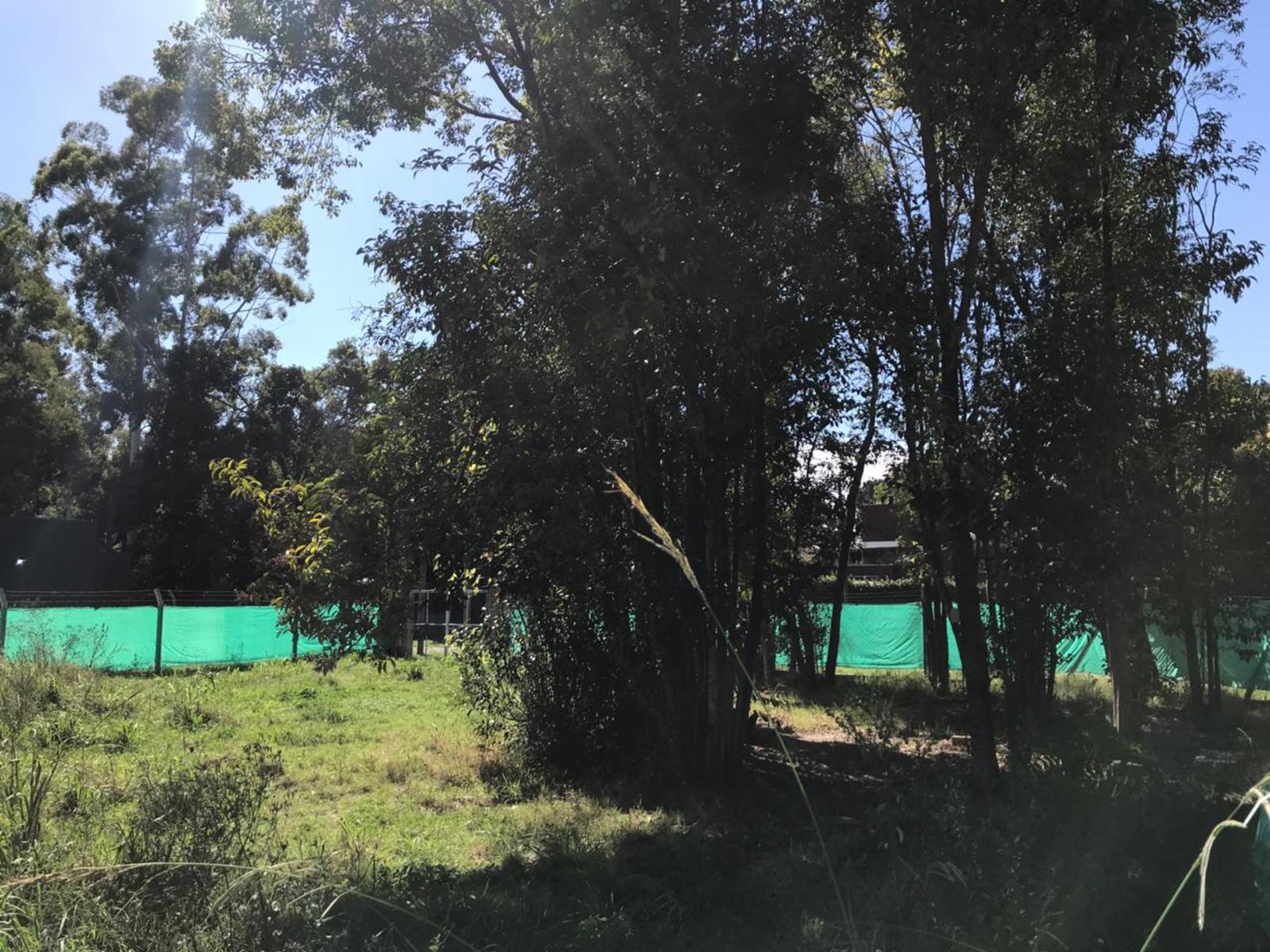 Plumerillo 700 · Moreno — foto 3