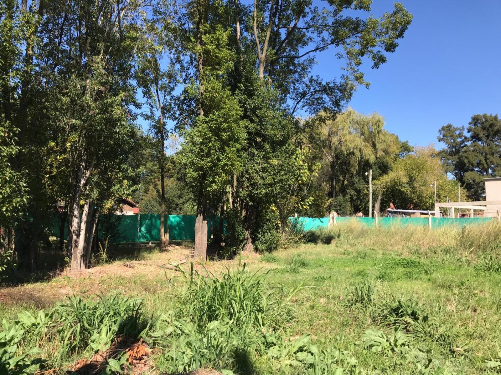 Plumerillo 700 · Moreno — foto 6