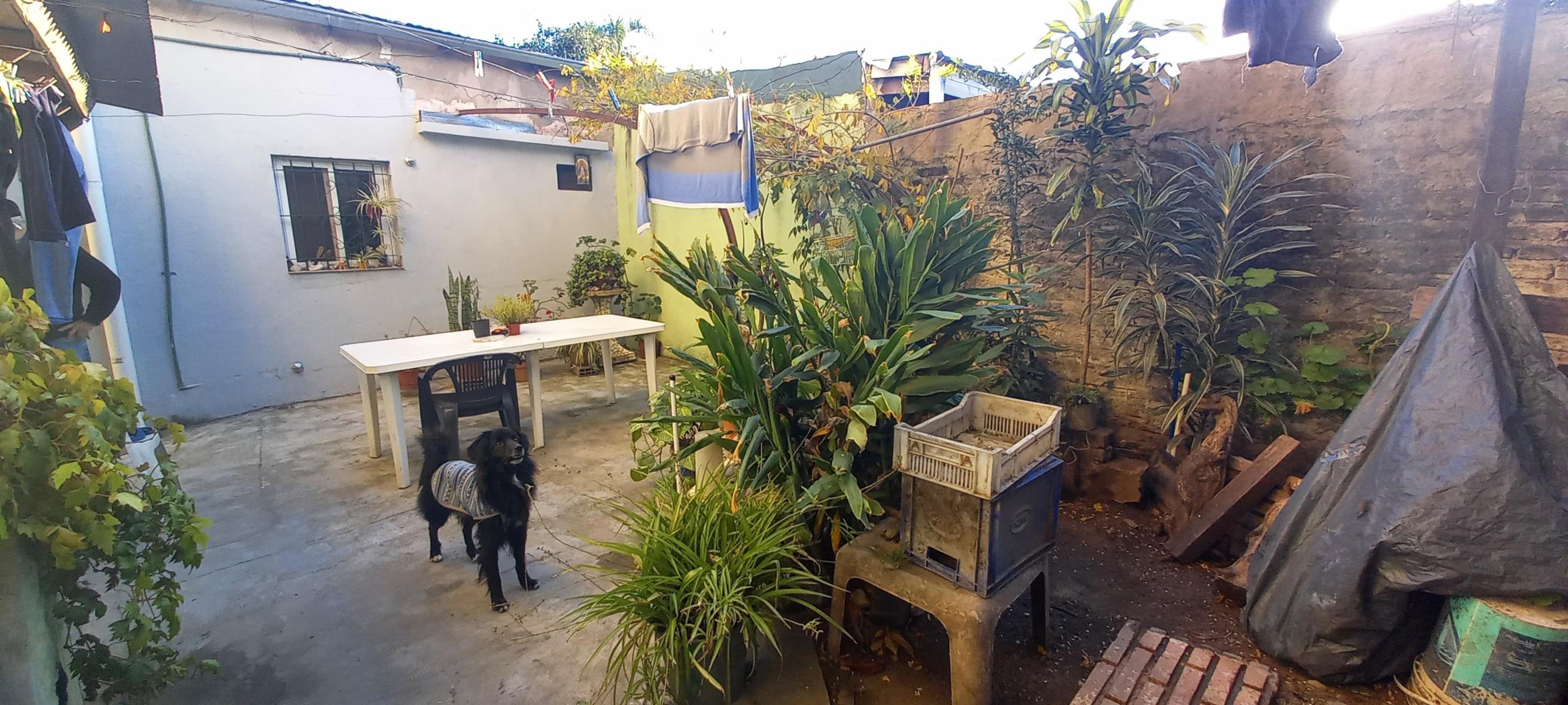 Jose Hernandez 4061 · San Martín — foto 19