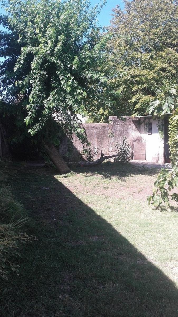 Espora 3431 · Almirante Brown — foto 13