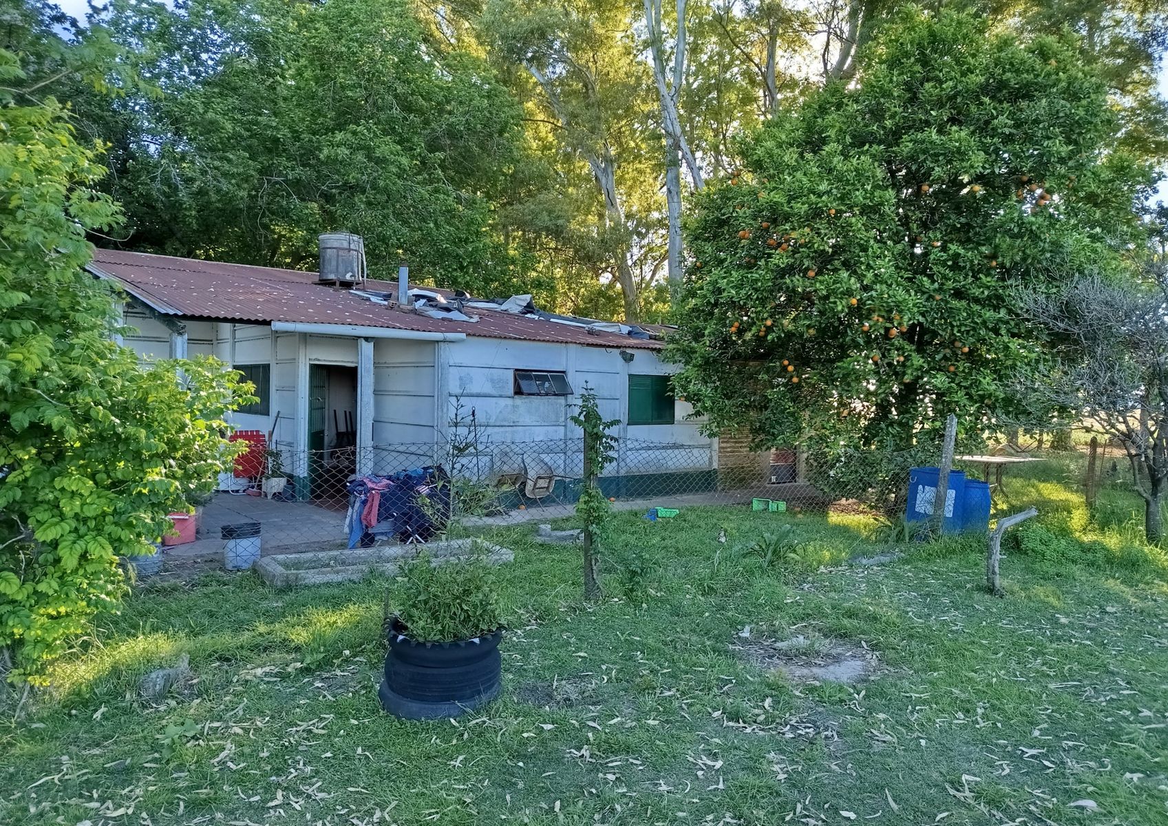 Rural sin nombre · Punta Indio — foto 3