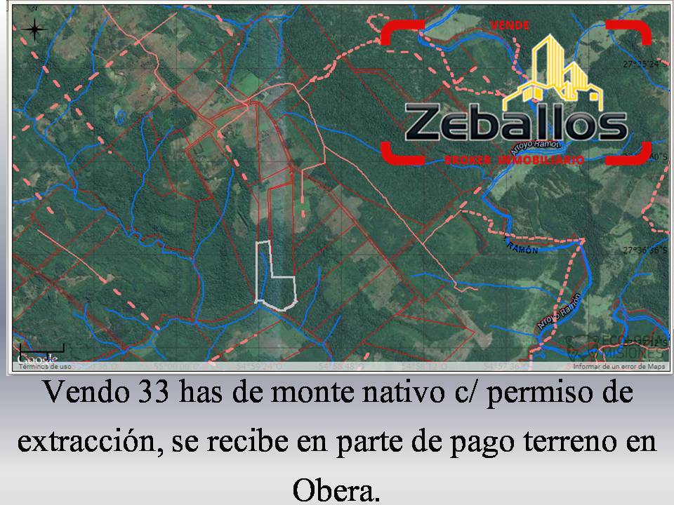 Vendo 33 has de Monte Nativo en Panambi