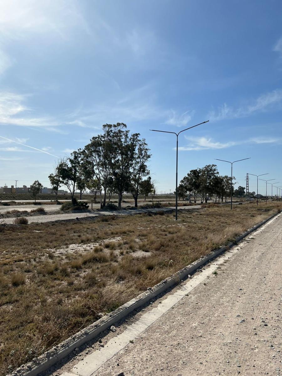 LOTEO AEROPUERTO · Adolfo Alsina — foto 6
