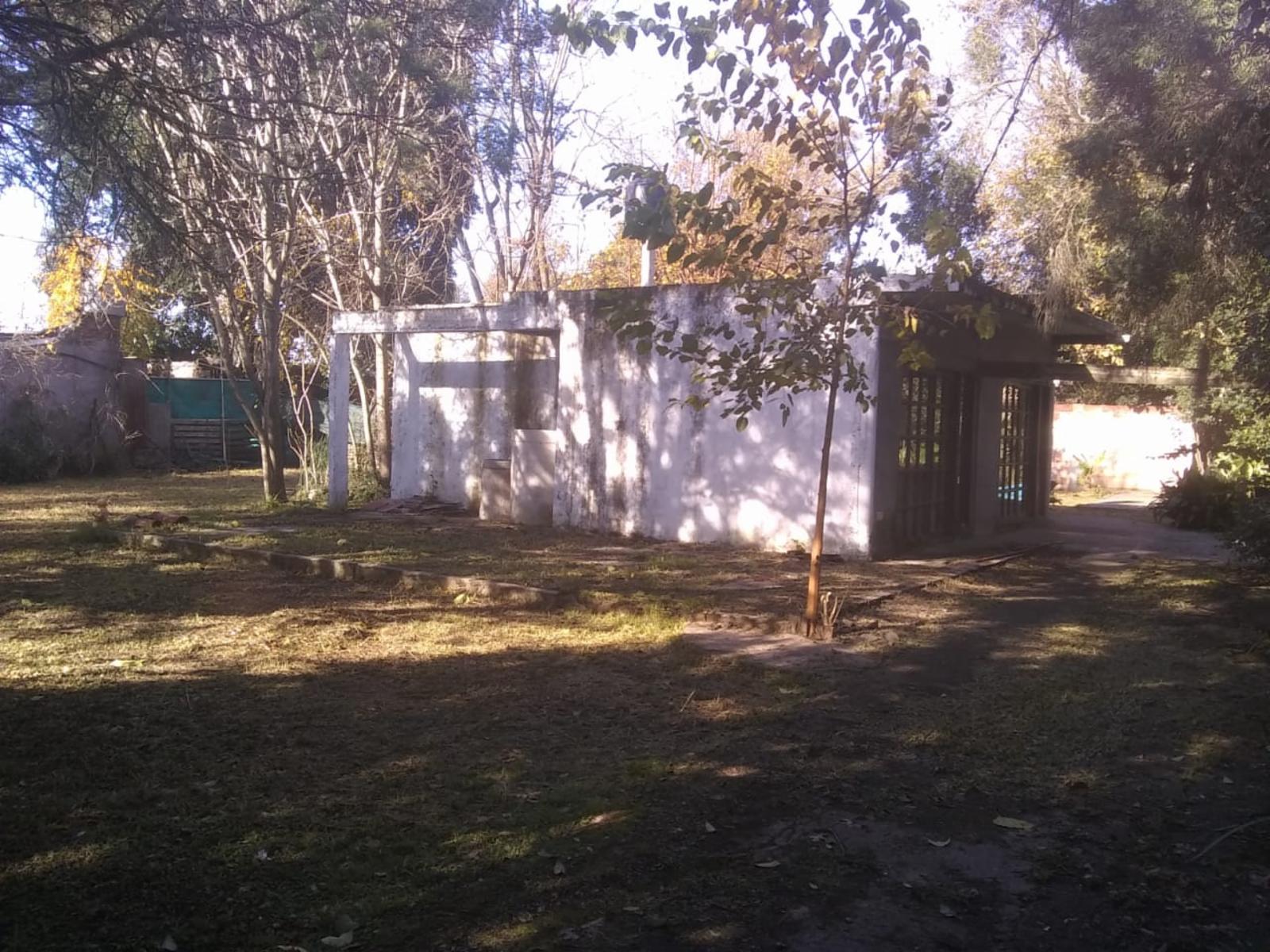 Franz Liszt 2100 · Moreno — foto 3